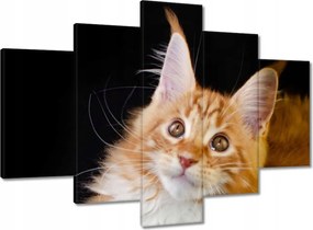 Vászonkép 150x105 Bolyhos vörös cica