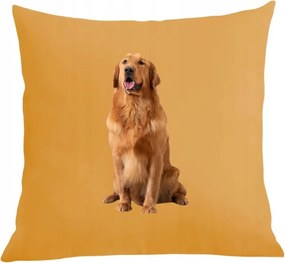 Párna párnahuzat Golden Retriever nyomtatás