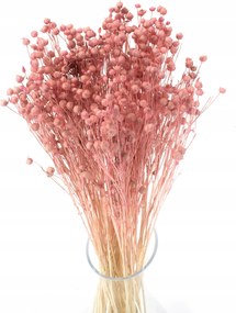 Világos rózsaszín szárított len, szárított virágok, csokor, természetes dekoráció