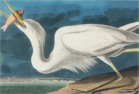 Dekoratív Fotótapéta Hálószobába Madár és hal 104x70 Ragasztó