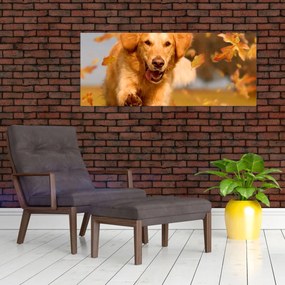 Kép - Golden Retriever (120x50 cm)