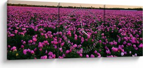 Kép - lila tulipánok rétje (órával) (90x30 cm)