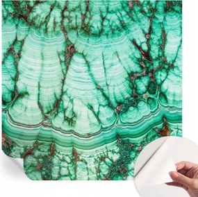 Öntapadós fotótapéta Nappaliba és Hálószobába Zöld minták 250x250