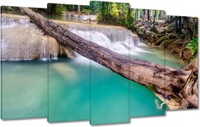 Vászonkép 100x60 Kidőlt fa