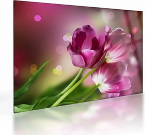 Rózsaszín tulipánok képe (üvegen) (70x50 cm)
