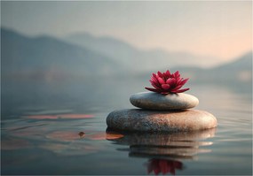 Fotótapéta Virágok Kövek Spa Hálószoba Nappali Tapéta Flizelina 300x210