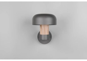 Fali kültéri lámpa (magasság 24,5 cm) Fraser – Trio