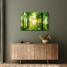 Kép - Hajnal az erdőben (90x60 cm)