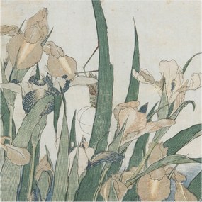 Flizelina Dekoratív Fotótapéta Hálószobába Finom íriszek 250x250 Ragasztó