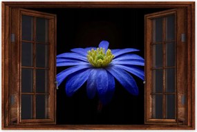 Poszter 60x40 Kék virág