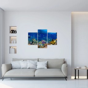 Kép - Óceán (90x60 cm)