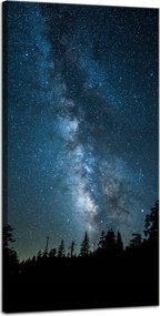 Vászonkép Kozmosz Éjszaka Erdő Köd Természet Csillagászat 40x80
