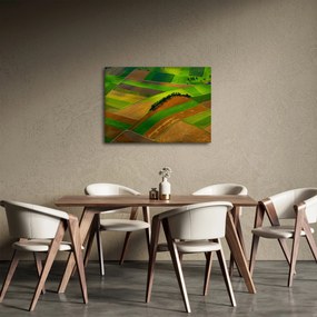 Kép - Mezők, rétek (70x50 cm)
