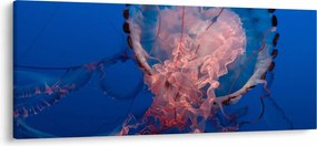 Medúza képe (120x50 cm)