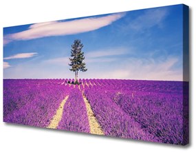 Vászonkép falra Lavender Field Mező Fa 100x50 cm