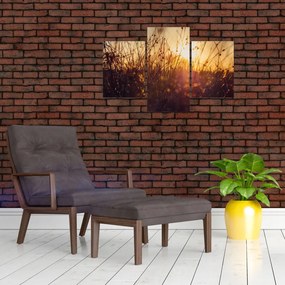 A mező képe naplementekor (90x60 cm)