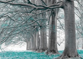 Poszter 59,4x42cm Fák egy sorban türkiz levelek, Assaf Frank