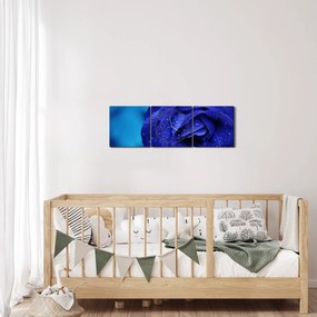 Kék rózsa képe (órával) (90x30 cm)