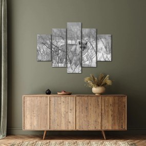 Kép - Róka, fekete, fehér (150x105 cm)