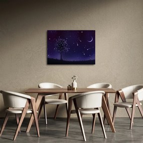 Kép - Illusztrációban fogott éj (70x50 cm)
