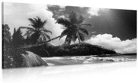 Kép gyönyörű tengerparttól a Seychelle-szigetek fekete-fehér