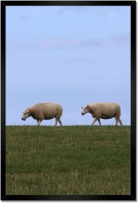 Poszterek keretben 40x60 Juh legeltetés Bárányok