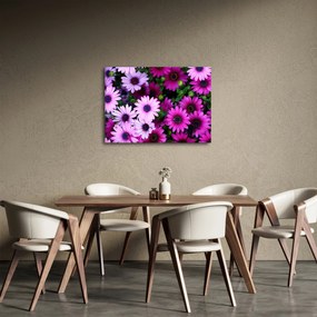 Kép - Virágok (70x50 cm)