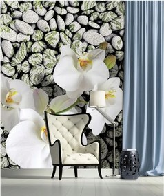 Fotótapéta Fehér orchideák a köveken Elegancia és nyugalom 206x275 +ragasztó