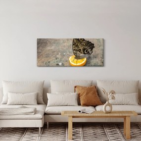 Pillangó képe (120x50 cm)
