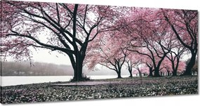 Festmények 120x60 Fa Fák Kilátás