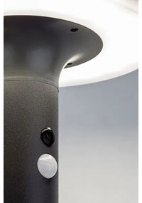 Rabalux 77017 - LED Napelemes lámpa érzékelővel ALASKA LED/10W/3,7V IP44