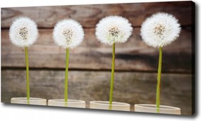 Canvas falikép Pitypangok 120x60 cm