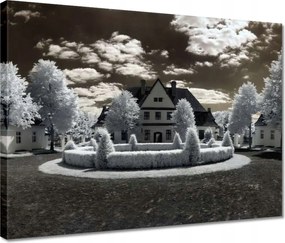 Vászonkép 40x30 Ir infravörös kép