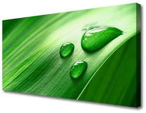 Vászonfotó Leaf Water Drops 120x60 cm