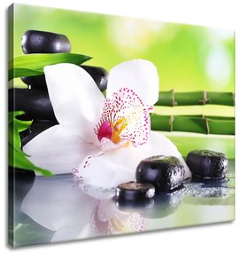 Gario Vászonkép Fehér orchidea és kövek Méret: 100 x 70 cm