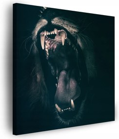 Vászonkép Állatok Oroszlánszáj 40x40 cm