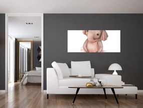 Kép - Akvarell állatka N⁰5 (120x50 cm)