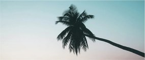 Kép - Pálmafa Balin (120x50 cm)