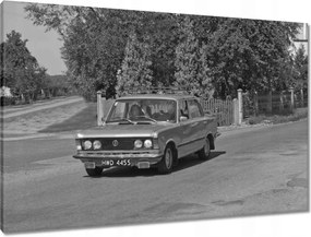 Vászonkép 90x60 Nagy Fiacik 125p