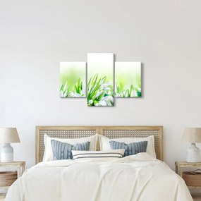 Kép - Hóvirág (90x60 cm)