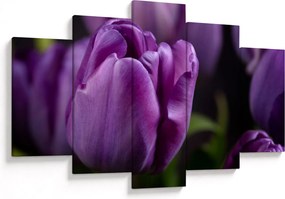 Tulipán vírág képe (150x105 cm)