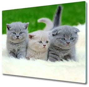 Üveg vágódeszka Három macskát egy takaró 60x52 cm
