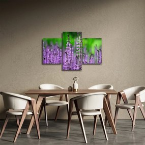 Lila mezei virágok képe (90x60 cm)