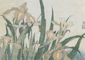 Flizelina Dekoratív Fotótapéta Hálószobába Finom íriszek 312x219 Ragasztó