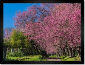 Poszterek keretben 40x30 Virágzó cseresznye