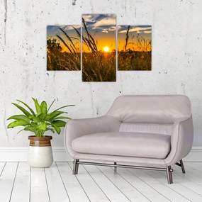 A mező naplementekor képe (90x60 cm)