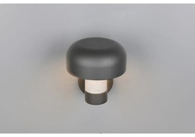 Fali kültéri lámpa (magasság 24,5 cm) Fraser – Trio