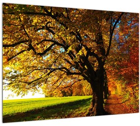 Egy őszi fa képe (üvegen) (70x50 cm)