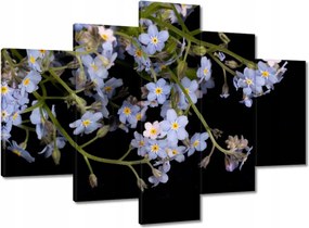 Festmények 150x105 Virágok Nefelejcs