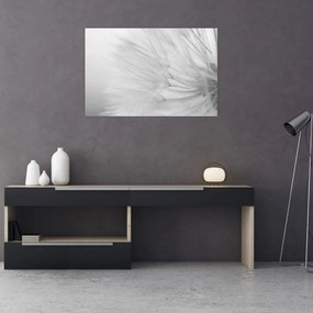 Kép - Pitypang (90x60 cm)